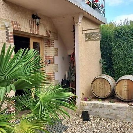 La Maison Des Vignes Charentay Zewnętrze zdjęcie