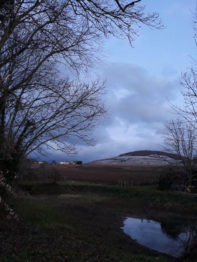 La Maison Des Vignes Charentay Zewnętrze zdjęcie