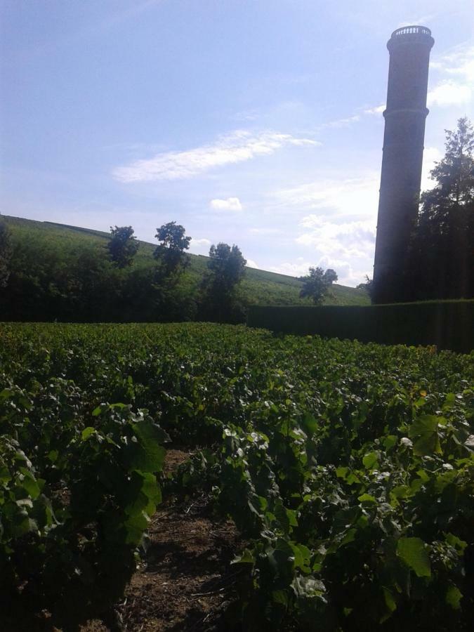 La Maison Des Vignes Charentay Zewnętrze zdjęcie