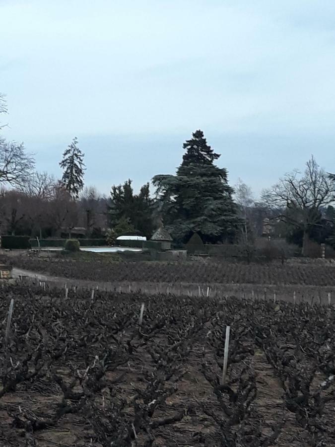 La Maison Des Vignes Charentay Zewnętrze zdjęcie