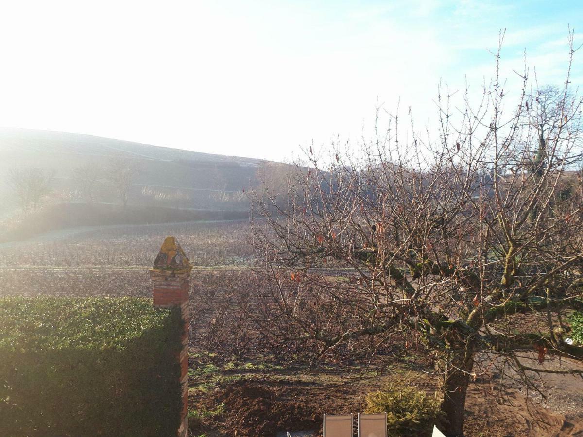 La Maison Des Vignes Charentay Zewnętrze zdjęcie